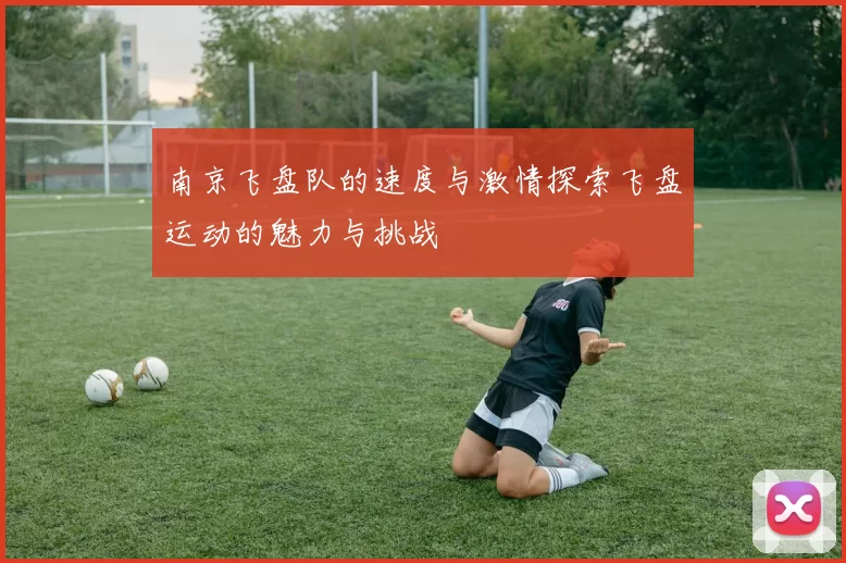 南京飞盘队的速度与激情探索飞盘运动的魅力与挑战