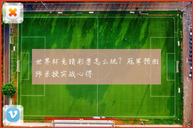 世界杯竞猜彩票怎么玩?冠军预测师亲授实战心得