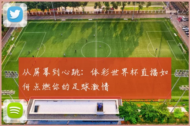 从屏幕到心跳：体彩世界杯直播如何点燃你的足球激情