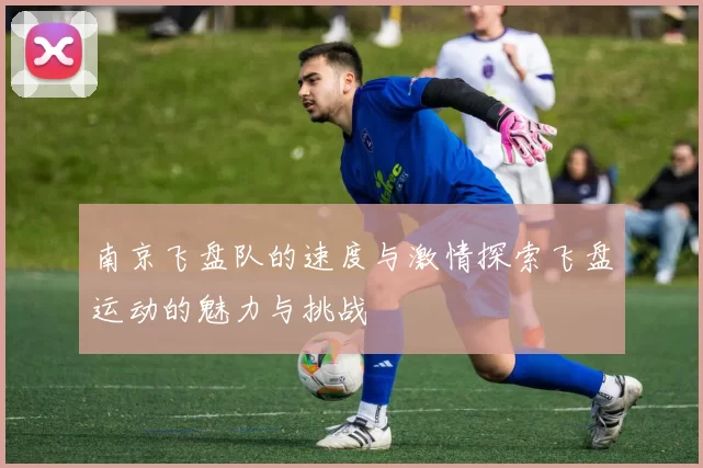 南京飞盘队的速度与激情探索飞盘运动的魅力与挑战