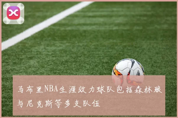 马布里NBA生涯效力球队包括森林狼与尼克斯等多支队伍