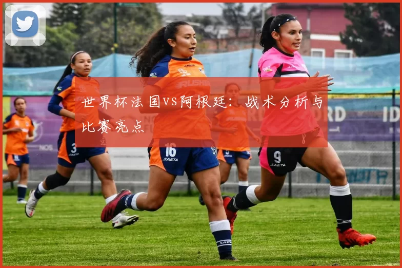 世界杯法国vs阿根廷:战术分析与比赛亮点