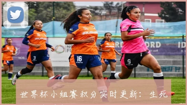 世界杯小组赛积分实时更新:生死战前夜最新排名