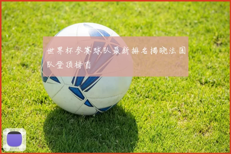 世界杯参赛球队最新排名揭晓法国队登顶榜首