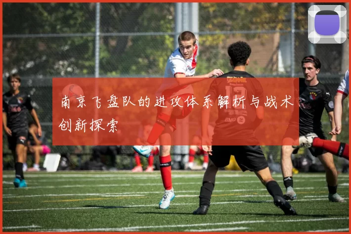 南京飞盘队的进攻体系解析与战术创新探索