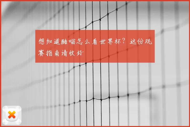 想知道酷喵怎么看世界杯?这份观赛指南请收好