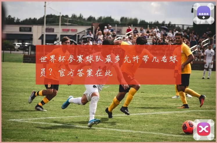 世界杯参赛球队最多允许带几名球员?官方答案在此