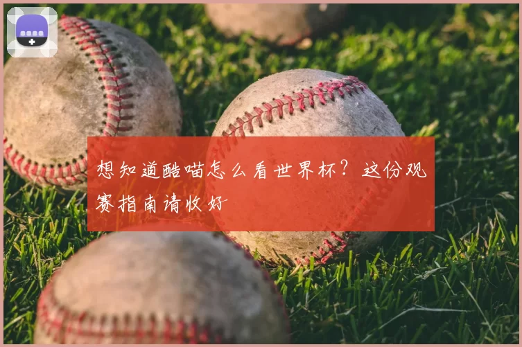 想知道酷喵怎么看世界杯?这份观赛指南请收好