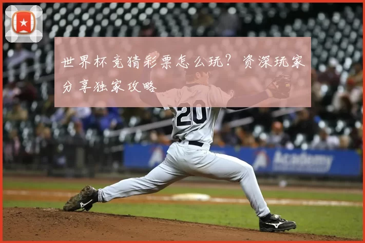 世界杯竞猜彩票怎么玩?资深玩家分享独家攻略