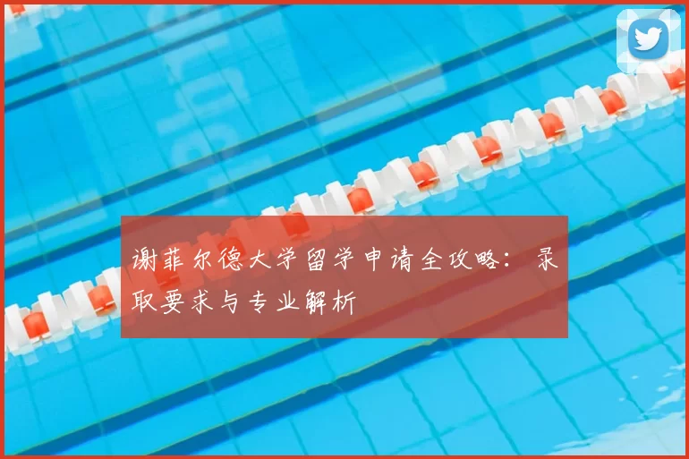 谢菲尔德大学留学申请全攻略:录取要求与专业解析