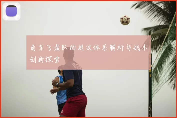 南京飞盘队的进攻体系解析与战术创新探索